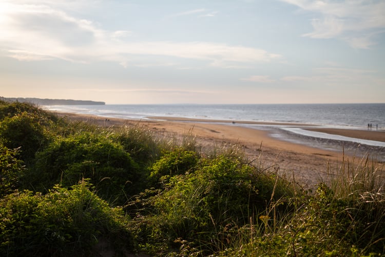 Normandy Beaches